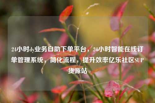 24小时dy业务自助下单平台	，24小时智能在线订单管理系统，简化流程，提升效率亿乐社区SUP货源站  第1张